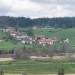 Fausse Bruyère  sur site