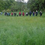 Approche du lac de l'Abbaye dans les herbes 