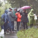 Tourbières avec Grosse averse/capes/parapluies 